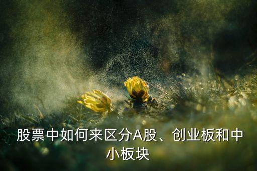 股票中如何來(lái)區(qū)分A股、創(chuàng)業(yè)板和中小板塊