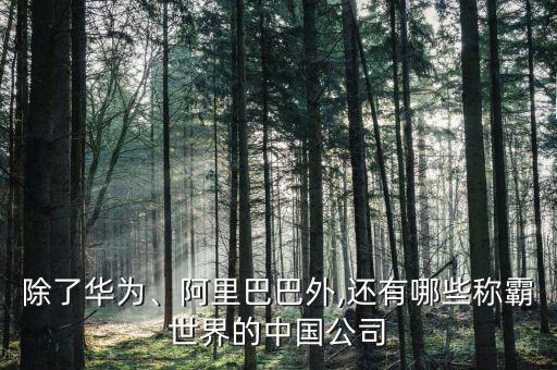 除了華為、阿里巴巴外,還有哪些稱霸世界的中國(guó)公司
