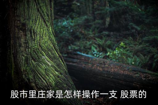 股票分時(shí)推土機(jī)走勢,如何看到股票每天分時(shí)的走勢
