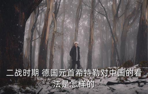 德國網(wǎng)友評(píng)論中國制裁,外國網(wǎng)友評(píng)論中國的反制裁措施