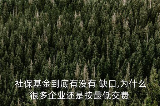  社保基金到底有沒(méi)有 缺口,為什么很多企業(yè)還是按最低交費(fèi)