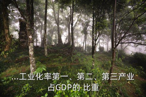 ...工業(yè)化率第一、第二、第三產(chǎn)業(yè)占GDP的 比重