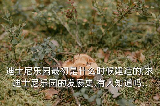 迪斯尼開園時間投資分析