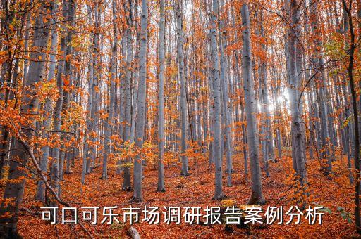  可口可樂(lè)市場(chǎng)調(diào)研報(bào)告案例分析