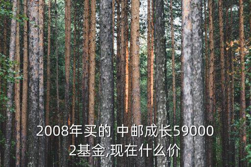 2008年買的 中郵成長590002基金,現(xiàn)在什么價(jià)