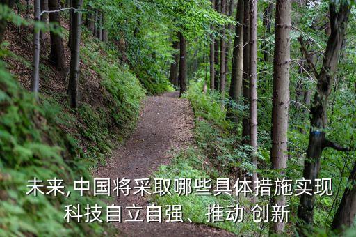  未來,中國將采取哪些具體措施實現(xiàn)科技自立自強、推動 創(chuàng)新