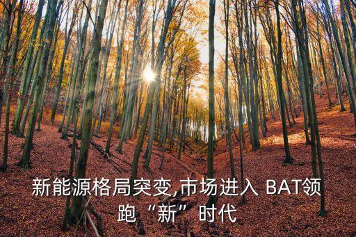 中國(guó)民企排行為何沒(méi)有BAT,中國(guó)最大民企排行