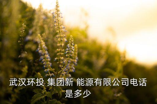 武漢環(huán)投 集團(tuán)新 能源有限公司電話(huà)是多少