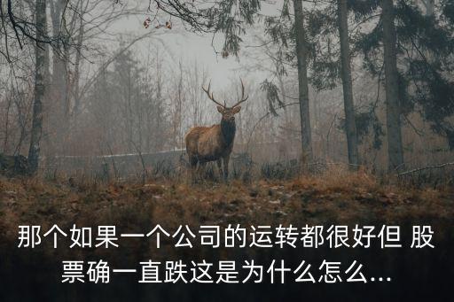 那個如果一個公司的運(yùn)轉(zhuǎn)都很好但 股票確一直跌這是為什么怎么...
