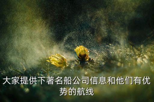 大家提供下著名船公司信息和他們有優(yōu)勢(shì)的航線