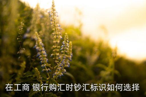 在工商 銀行購匯時鈔匯標識如何選擇
