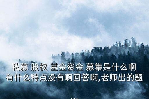 私募 股權(quán) 基金資金 募集是什么啊有什么特點(diǎn)沒(méi)有啊回答啊,老師出的題...