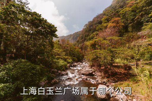 上海白玉蘭廣場屬于哪個(gè)公司