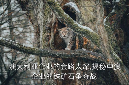  澳大利亞企業(yè)的套路太深,揭秘中澳企業(yè)的鐵礦石爭(zhēng)奪戰(zhàn)