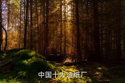 中國(guó)十大造紙廠
