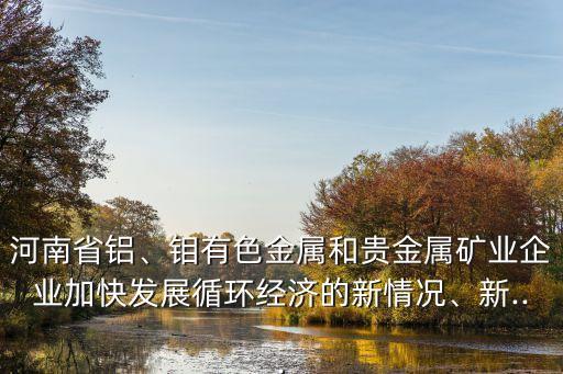 河南省鋁、鉬有色金屬和貴金屬礦業(yè)企業(yè)加快發(fā)展循環(huán)經(jīng)濟(jì)的新情況、新...