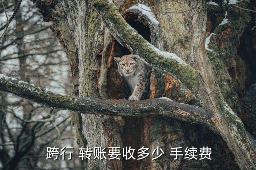 中國銀行atm機跨行轉賬手續(xù)費