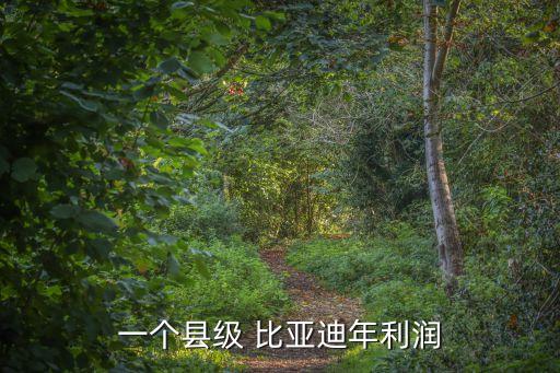 比亞迪公司財務(wù)分析