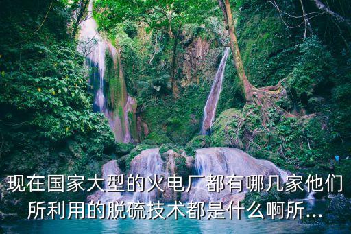 現(xiàn)在國家大型的火電廠都有哪幾家他們所利用的脫硫技術都是什么啊所...