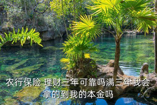 農(nóng)行保險(xiǎn) 理財(cái)三年可靠嗎滿三年我會(huì)拿的到我的本金嗎