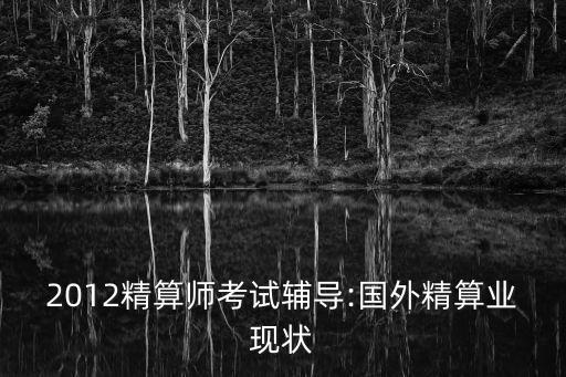 2012精算師考試輔導(dǎo):國(guó)外精算業(yè)現(xiàn)狀