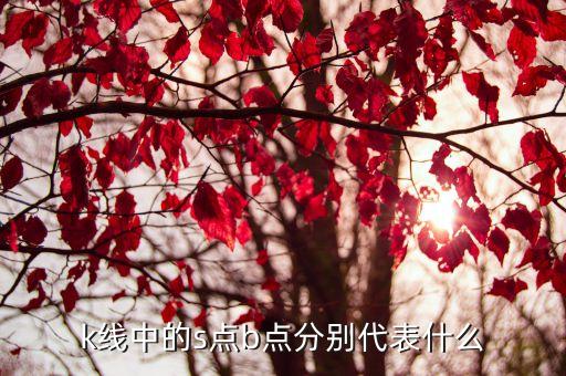股票歸位點(diǎn)什么意思,股票回購(gòu)注銷(xiāo)是什么意思?