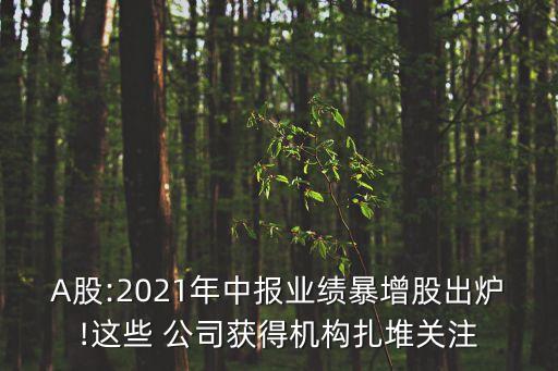 A股:2021年中報(bào)業(yè)績暴增股出爐!這些 公司獲得機(jī)構(gòu)扎堆關(guān)注