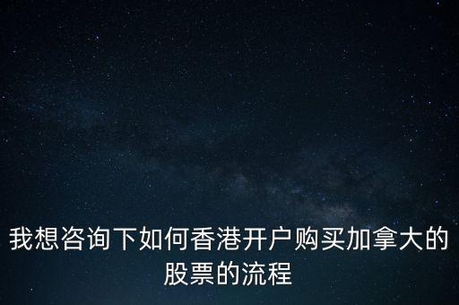 國泰君安國際控股有限公司