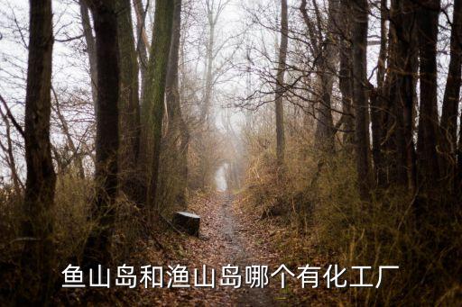 舟山煉油公司名稱(chēng)
