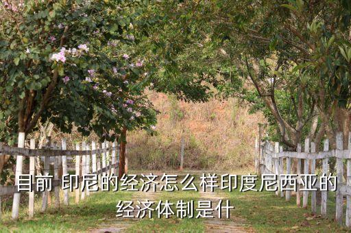 中國印尼貿(mào)易額