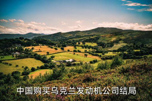中國購買烏克蘭發(fā)動機公司結(jié)局