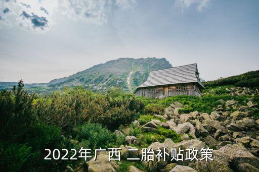 2022年廣西 二胎補(bǔ)貼政策