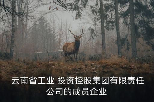  云南省工業(yè) 投資控股集團(tuán)有限責(zé)任公司的成員企業(yè)