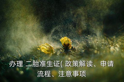 辦理 二胎準(zhǔn)生證( 政策解讀、申請(qǐng)流程、注意事項(xiàng)