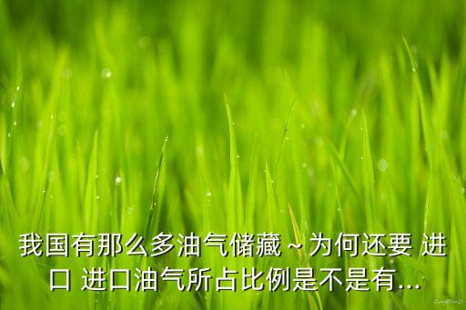 中國(guó)自己沒(méi)有石油嗎怎么還進(jìn)口,中國(guó)石油怎么自己加油