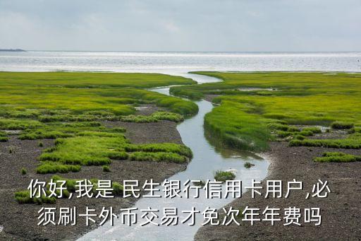 你好,我是 民生銀行信用卡用戶,必須刷卡外幣交易才免次年年費嗎