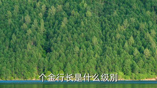 中國銀行個(gè)金部好嗎