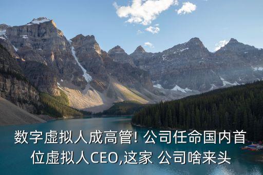 數(shù)字虛擬人成高管! 公司任命國內首位虛擬人CEO,這家 公司啥來頭