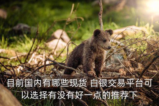 目前國內有哪些現貨 白銀交易平臺可以選擇有沒有好一點的推薦下