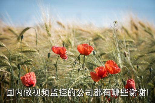 國(guó)內(nèi)做視頻監(jiān)控的公司都有哪些謝謝!