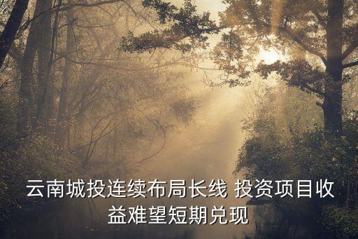 云南子達(dá)投資開(kāi)發(fā)有限公司