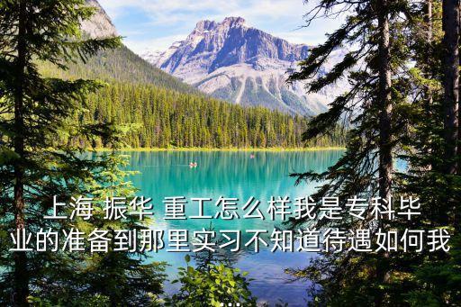  上海 振華 重工怎么樣我是專科畢業(yè)的準(zhǔn)備到那里實(shí)習(xí)不知道待遇如何我...