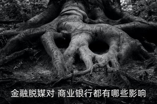 金融脫媒對(duì) 商業(yè)銀行都有哪些影響