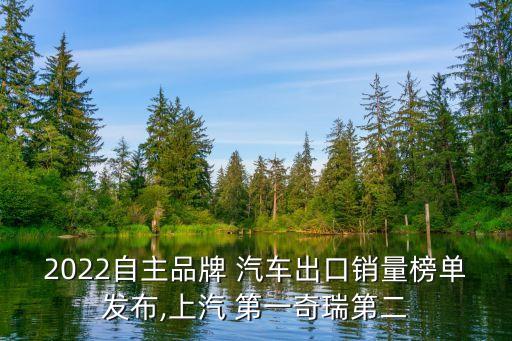 中國(guó)汽車市場(chǎng)產(chǎn)銷世界第一