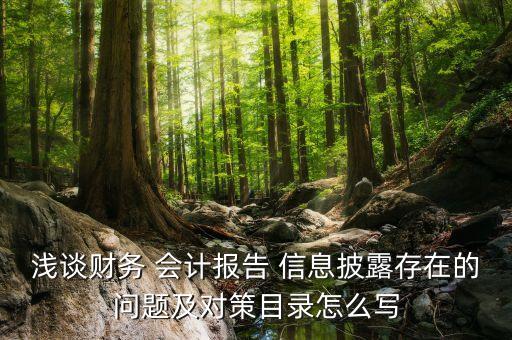 淺談財(cái)務(wù) 會計(jì)報告 信息披露存在的問題及對策目錄怎么寫