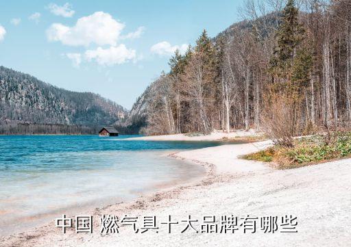 中國(guó) 燃?xì)饩呤笃放朴心男? class=