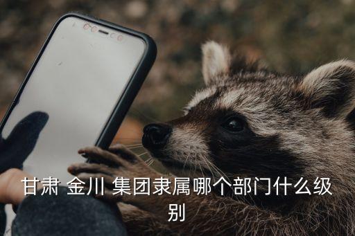 甘肅 金川 集團(tuán)隸屬哪個(gè)部門(mén)什么級(jí)別