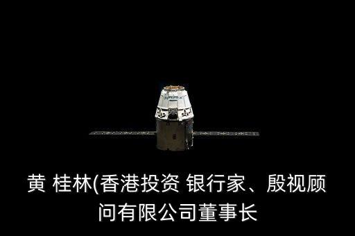 黃 桂林(香港投資 銀行家、殷視顧問(wèn)有限公司董事長(zhǎng)