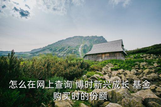 怎么在網(wǎng)上查詢 博時(shí)新興成長 基金購買時(shí)的份額