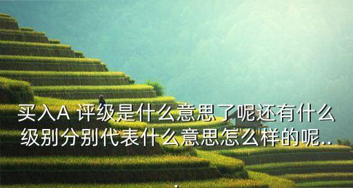 買(mǎi)入A 評(píng)級(jí)是什么意思了呢還有什么級(jí)別分別代表什么意思怎么樣的呢...